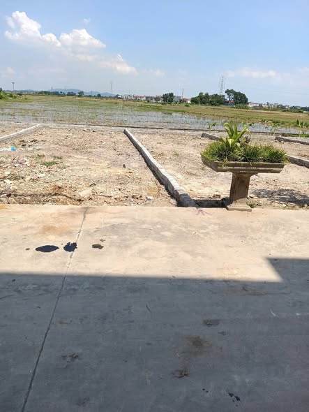 Đất nền liền kề TDP Hưng Thịnh, Yên Dũng 79m² – 94m², giá chỉ từ 1.2 tỷ!