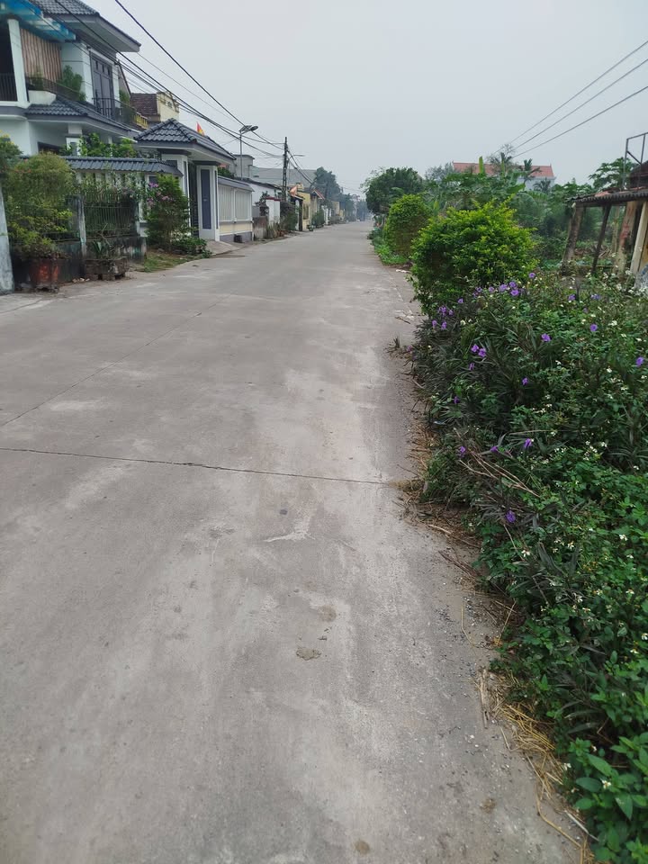 Đất thổ cư xã Khánh Cư, Yên Khánh 125m² giá 1 tỷ - Đầu tư sinh lời hấp dẫn!