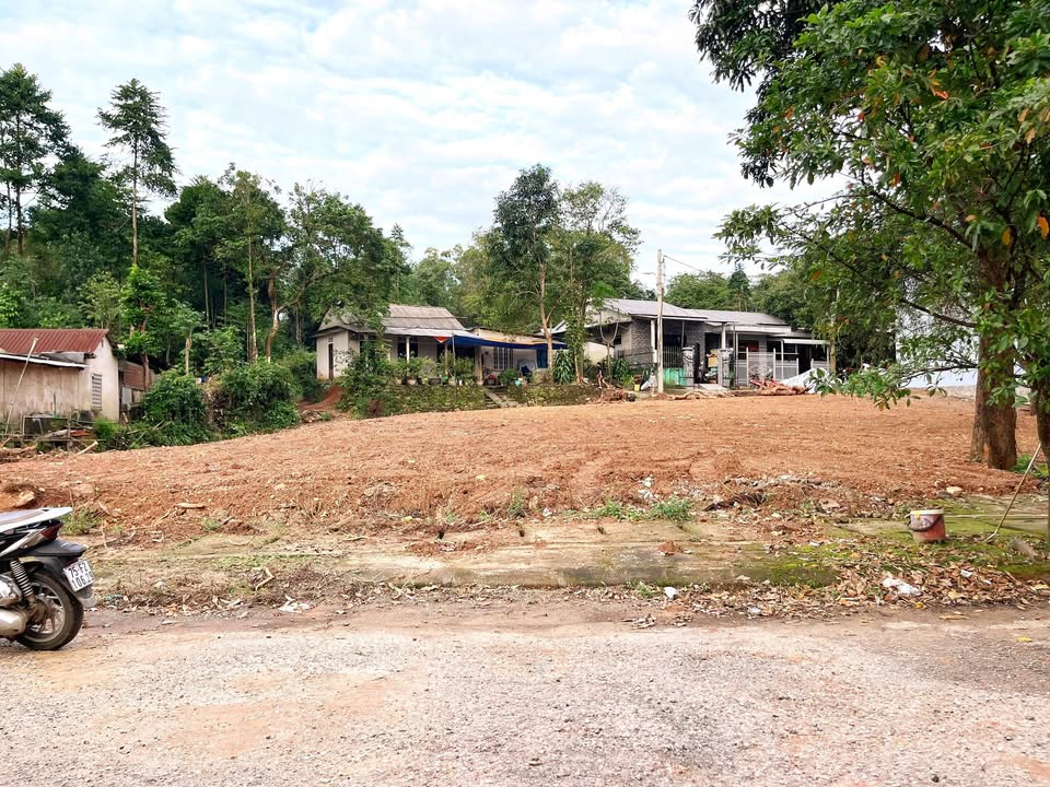 Đất nền mặt tiền Dương Quảng Hàm, Thủy Xuân 100m² giá 1 tỷ - Cơ hội đầu tư sinh lời!