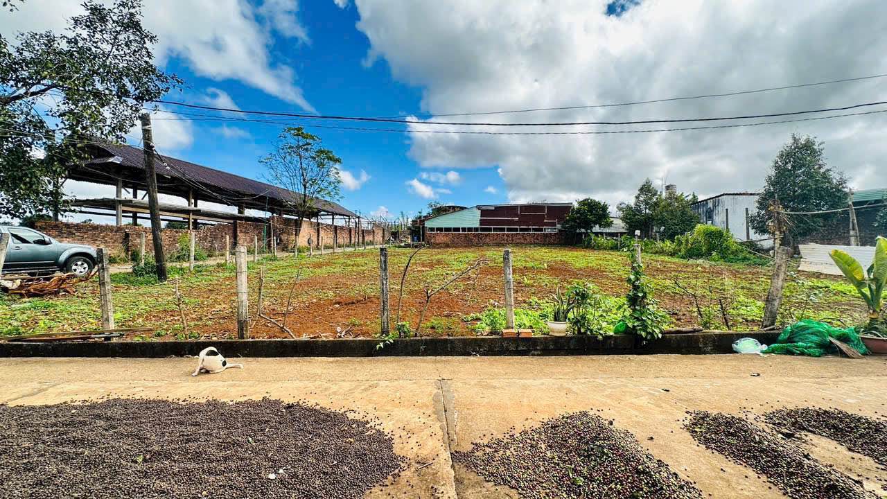 Đất thổ cư phường Thống Nhất, Pleiku 115m² giá chỉ 700 triệu - Đường bê tông 8m rộng rãi!