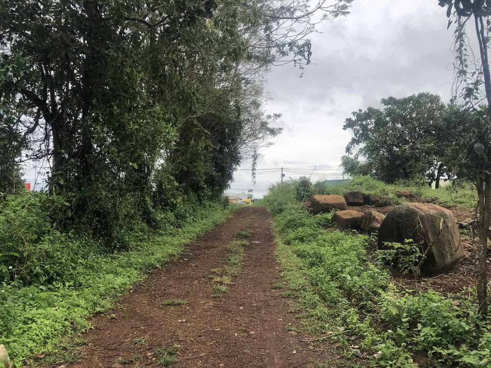 Đất trống 24m² tại Chư Sê, giá 4 tỷ - Vị trí đắc địa gần đường Phan Đình Phùng!