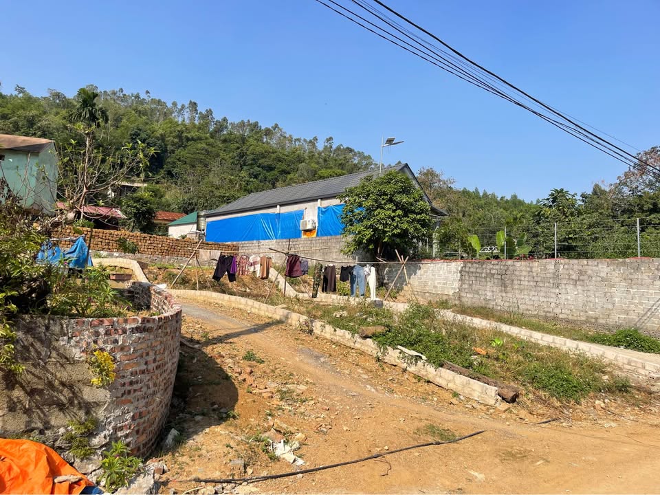 Đất nền Liên Khuê, Cư Yên 118m² giá chỉ vài trăm triệu - Sổ đỏ chính chủ!