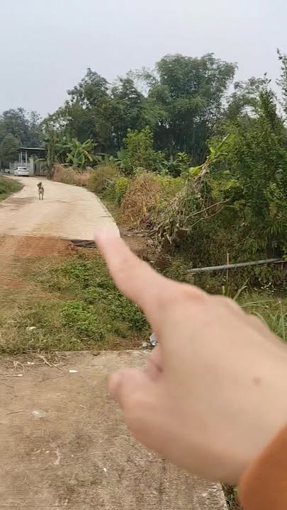 Đất nghỉ dưỡng Vũ Bình 2130m² giá chỉ 2 tỷ - Vị trí đẹp, pháp lý rõ ràng!