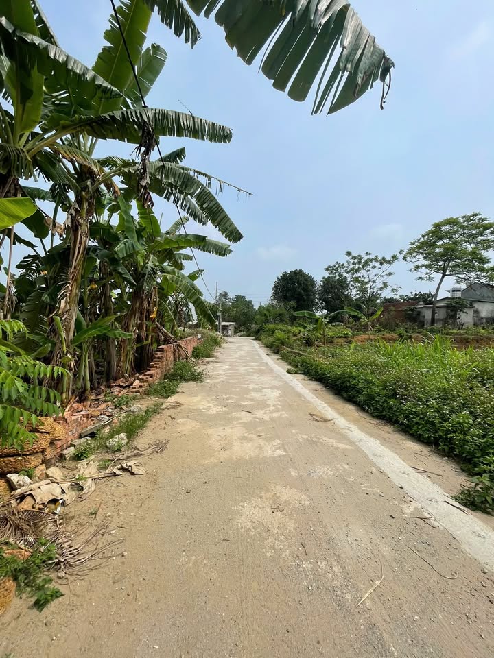 Đất nền Tân Xã Thạch Thất 100m² giá 3 tỷ - Lô góc vị trí đắc địa