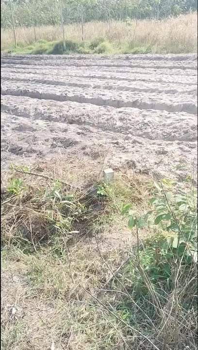 Đất thổ cư xã Định An, huyện Dầu Tiếng 1000m² giá chỉ 670 triệu - Cơ hội đầu tư tuyệt vời!