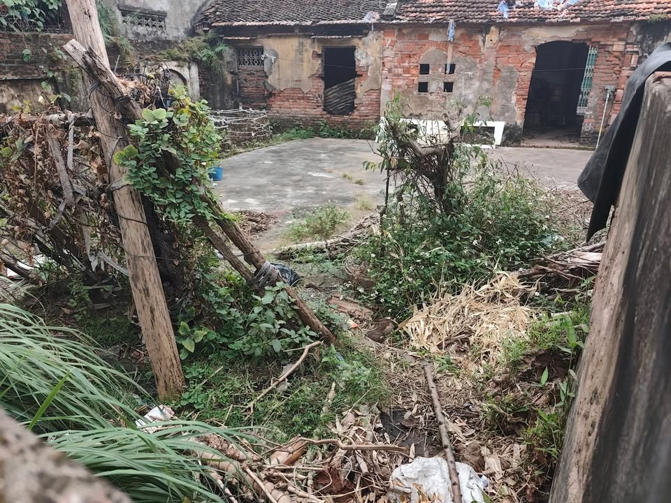 Đất nền Thạch Bàn, Long Biên 100m² giá 9.2 tỷ - Vị trí đắc địa gần Aeon Mall!