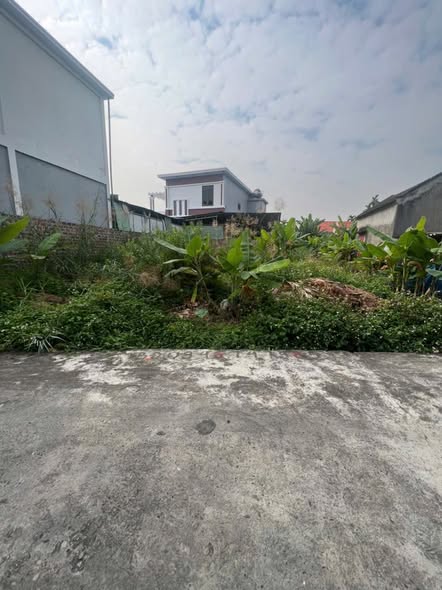 Đất nền Lưu Kiếm, Hải Phòng 63.5m² giá chỉ 800 triệu - Cơ hội đầu tư tuyệt vời!