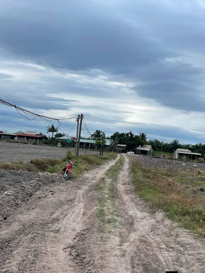 Đất rẫy Tân Hội, Tân Châu, Tây Ninh 95.000m² giá 1.1 tỷ - Gần khu công nghiệp!