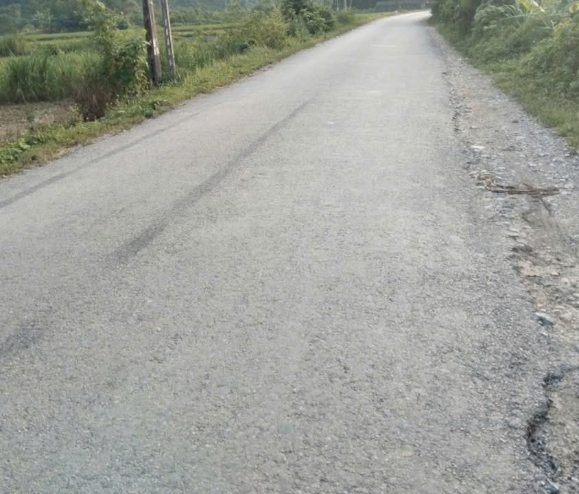 Đất trồng cây lâu năm 1100m² tại Xã Trại Cau, Thái Nguyên - Giá chỉ 1.3 tỷ!