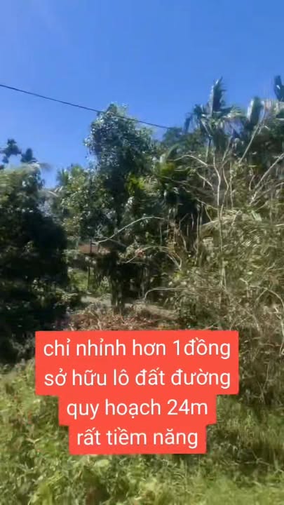 Đất nền Trường Xuân Tam Kỳ 120m² giá 1.05 tỷ - Cơ hội đầu tư hiếm có!