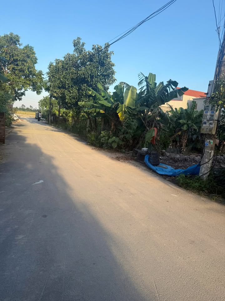 Đất Nền Thôn Bạch Cừ, Ninh Khang 100m² giá chỉ 3 tỷ - Cơ hội đầu tư tuyệt vời!