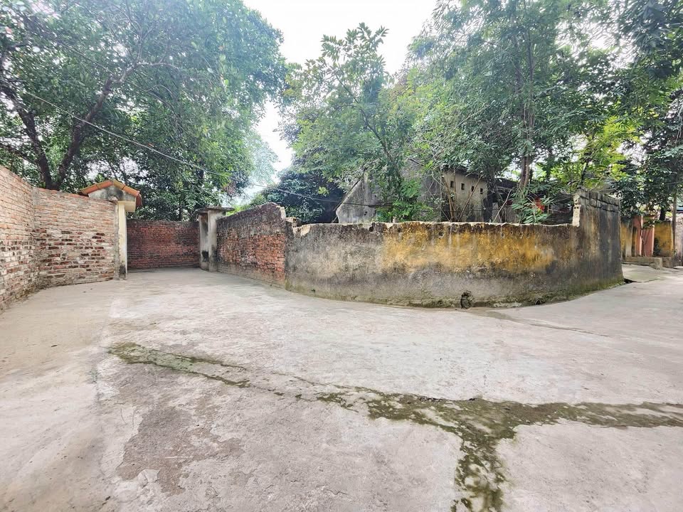 Đất nền phố Cốc Hạ, Đông Hương, 60m² giá 600 triệu - Sổ đỏ chính chủ!