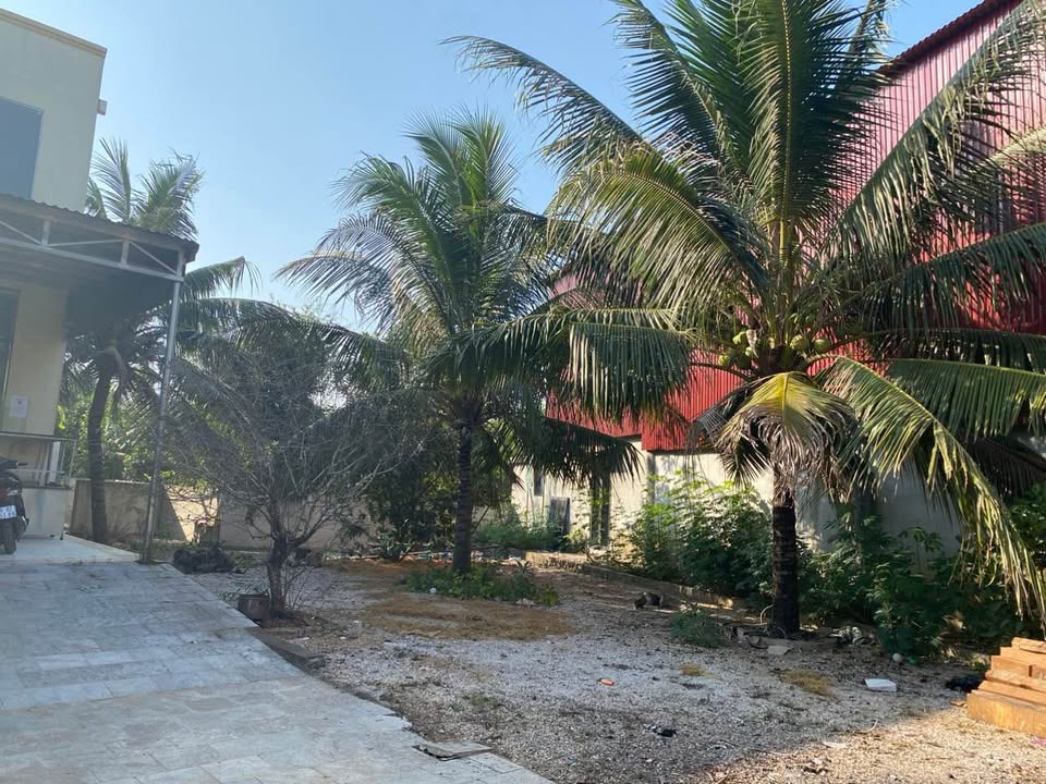 Nhà đất Huyện Nông Cống 1300m² giá thỏa thuận - Tiềm năng xây biệt thự nghỉ dưỡng!