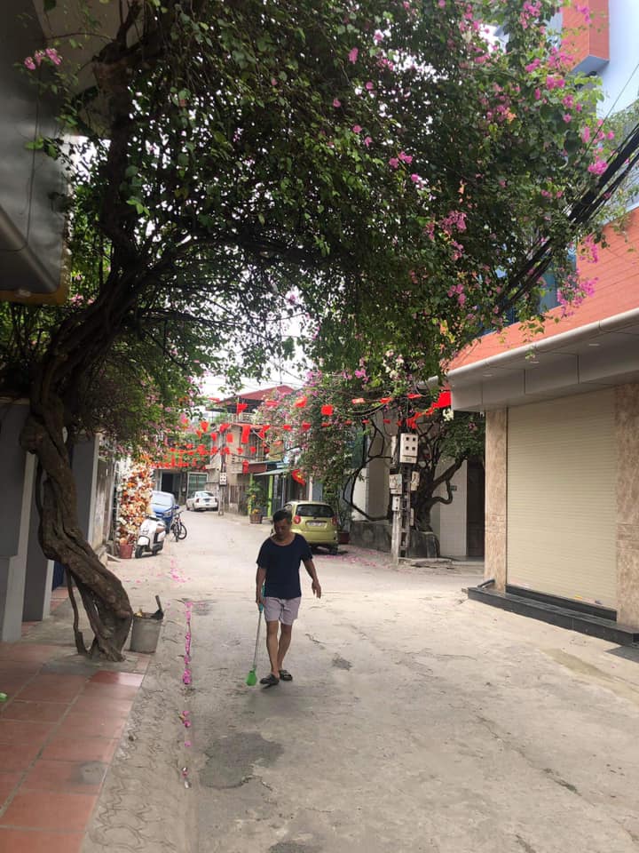 Nhà phố Trần Quang Diệu, Thanh Hóa 88m² giá 3 tỷ - Sẵn sàng vào ở ngay!