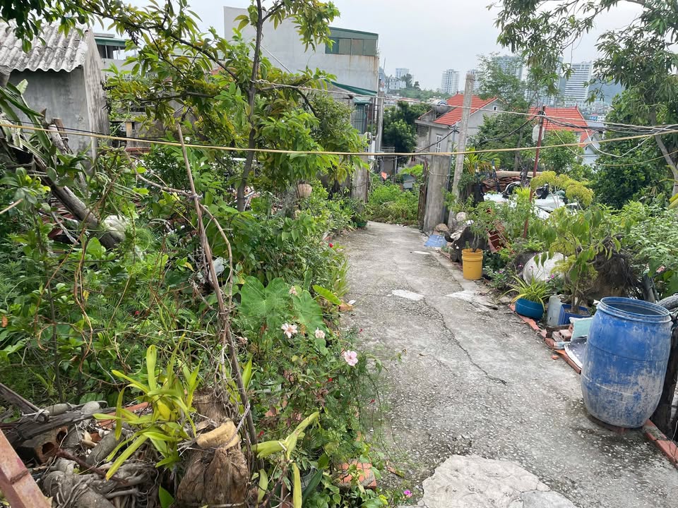 Đất nền Dốc Ngân Hàng Hạ Long 129,6m² - Hướng Tây Bắc, giá thỏa thuận!