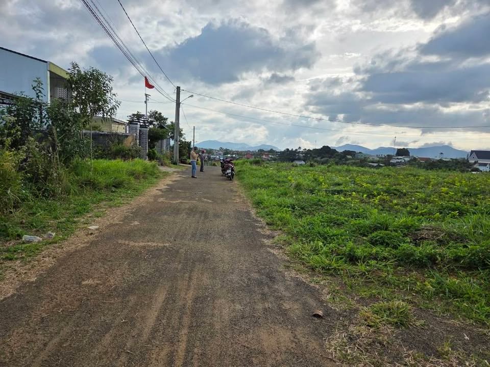 Đất nền hẻm Nguyễn Trãi, Phường 2 Bảo Lộc 138m² - Giá chỉ 1.35 tỷ, view đẹp!