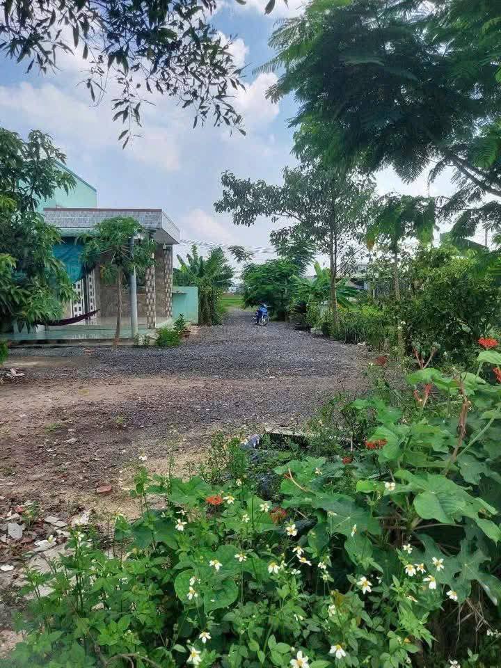 Đất thổ cư Mỹ Hạnh Bắc, 105m² chỉ 680 triệu - Cơ hội không thể bỏ qua!