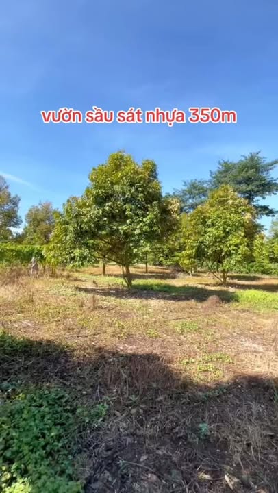 Đất nền 2500m² xã Ngọc Định, Định Quán - Giá chỉ 1.4 tỷ, mặt tiền 37m!