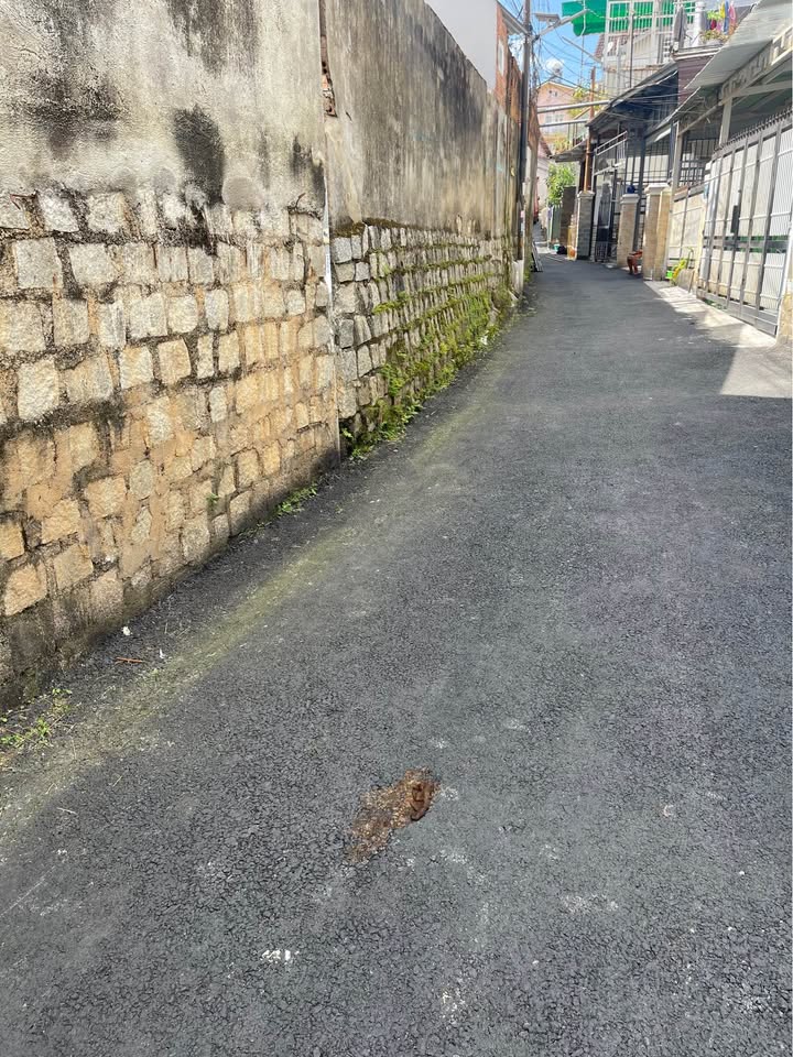 Bán đất Võ Trường Toản, phường Lâm Viên, Đà Lạt - Diện tích 80,13m² giá 5,6 tỷ - Sổ đỏ chính chủ