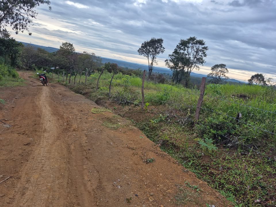 Đất Farm 1.75ha Thọ Sơn - Giá 1.8 tỷ VND - Đầu tư sinh lời nhanh chóng!