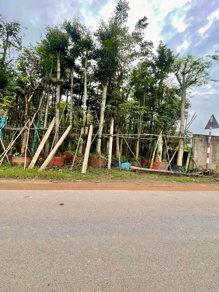 Bán gấp mặt tiền nhà phố Trần Phú Trảng Bom 166m² chỉ 2 tỷ - Đầu tư sinh lời tốt!