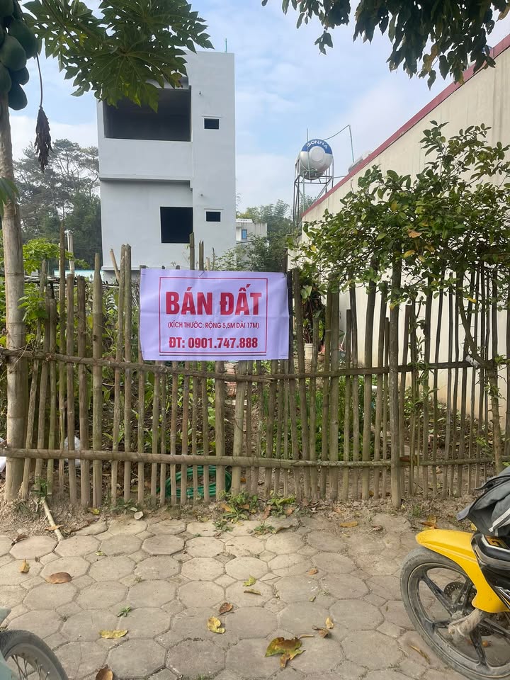 Đất nền Phường Noong Bua 93m² giá thỏa thuận - Hướng Đông Bắc, trục đường 20,5m