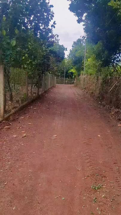 Đất nền phường Bảo Vinh Long Khánh 300m² giá 1.19 tỷ - Pháp lý rõ ràng!