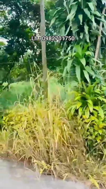 Đất nền 1 sào tại xã Xuân Lộc, Đồng Nai - Giá 1.6 tỷ - Sổ hồng riêng