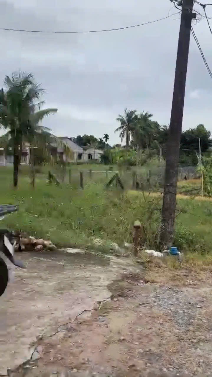 Đất nền Đức Tân, Tân Trụ 1300m² giá 1.2 tỷ - Cơ hội đầu tư hiếm có!