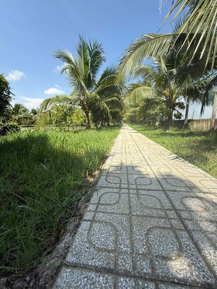 Bán Nhà Vườn Nghỉ Dưỡng An Thuận, Đức Hòa, Long An - 3600m² - Giá 11 tỷ thương lượng!