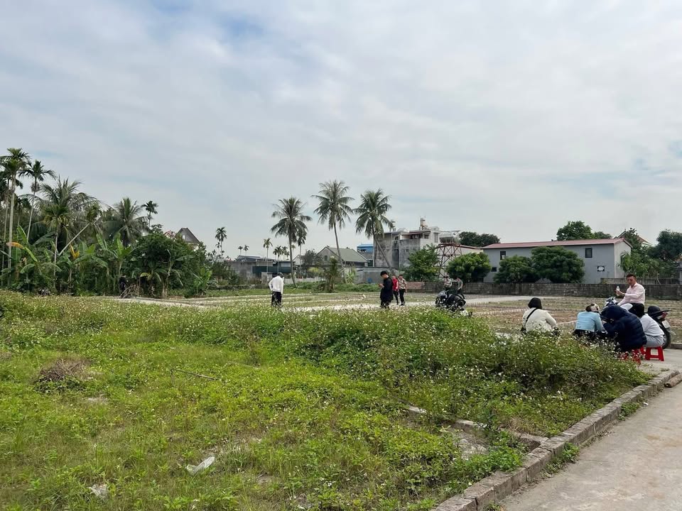 Đất nền Lâm Động Thủy Nguyên 61m² giá chỉ 1.2 tỷ - Vị trí tiềm năng cao!