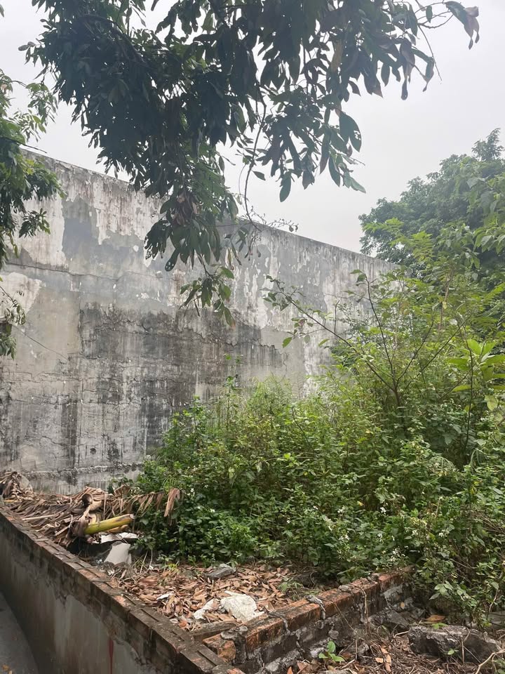 Đất nền Hồng An Hải Phòng 60m² giá chỉ 700 triệu - Cơ hội đầu tư hấp dẫn!