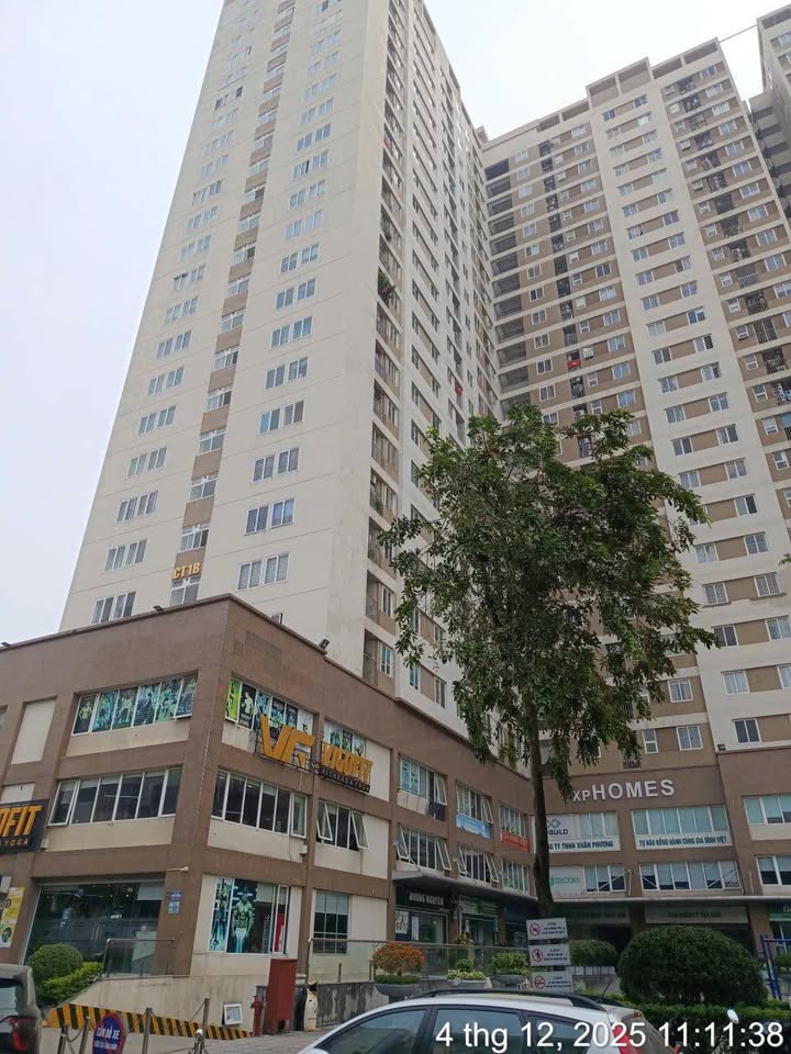 Nhà liền kề LK6 KĐT Tân Tây Đô 95m² giá 14 tỷ - Đầu tư sinh lời hấp dẫn!