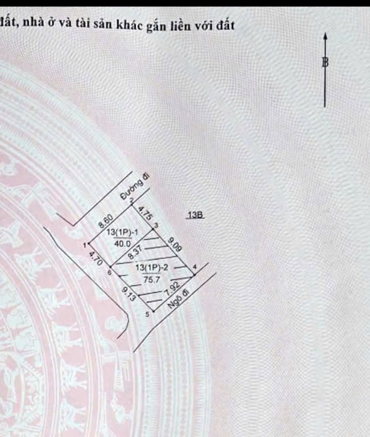 Đất lô góc 40m² tại Sơn Đồng, Hoài Đức - Vị trí đẹp, hạ tầng hoàn thiện!