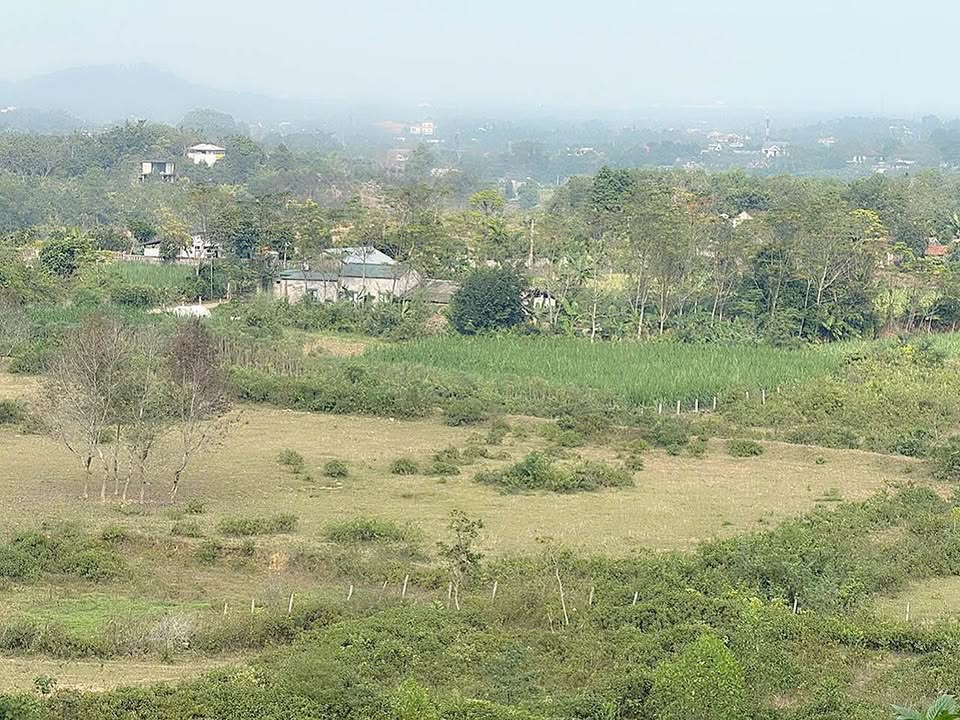 Đất thổ cư 8000m² tại Yên Bài, Ba Vì - Giá chỉ 4 triệu/m² - View núi tuyệt đẹp!