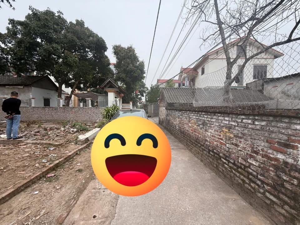 Đất nền Hạ Mỗ Đan Phượng 80m² giá đầu tư - Vị trí đẹp, đường ô tô