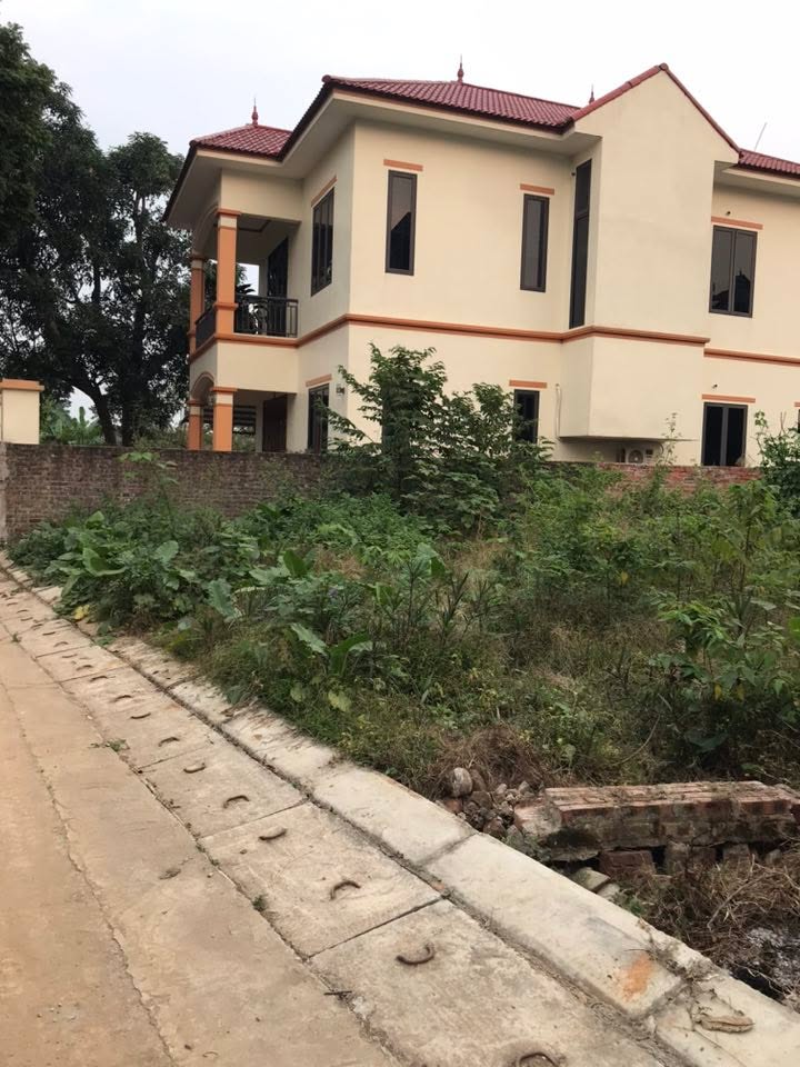 Đất thổ cư 55m² đường Trường Chinh, Phúc Yên - Giá 1 tỷ, gần trường học!