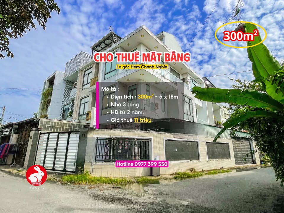 Cho thuê mặt bằng căn góc hẻm Chánh Nghĩa 300m² giá 11 triệu - Lợi thế vị trí đắc địa!