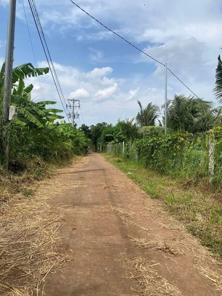 Đất thổ cư phường Bầu Sen, TP Long Khánh 765m² giá 1.1 tỷ - Sổ hồng riêng!