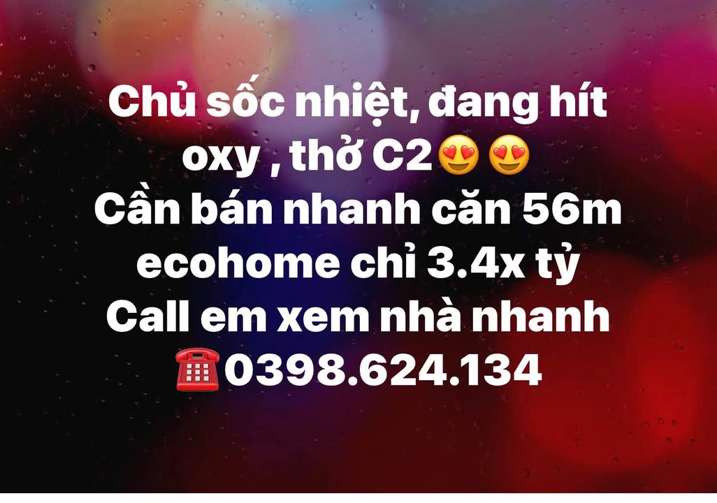 Căn hộ Ecohome Cầu Giấy 56m² giá 3.4 tỷ - Cơ hội sở hữu ngay!