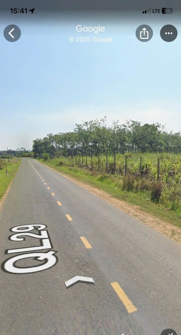 Đất thổ cư mặt tiền Quốc lộ 29, Ea Sô, Đắk Lắk 16.250m² - Cơ hội đầu tư hiếm có!