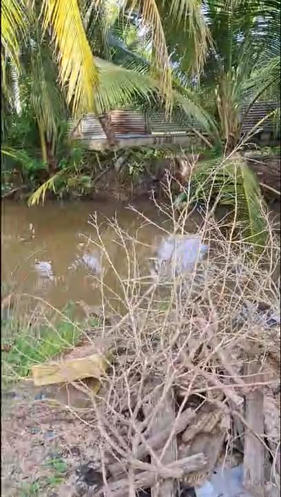 Đất nền Tân Hội Cai Lậy 621m² giá 600 triệu - Tiềm năng đầu tư lớn!