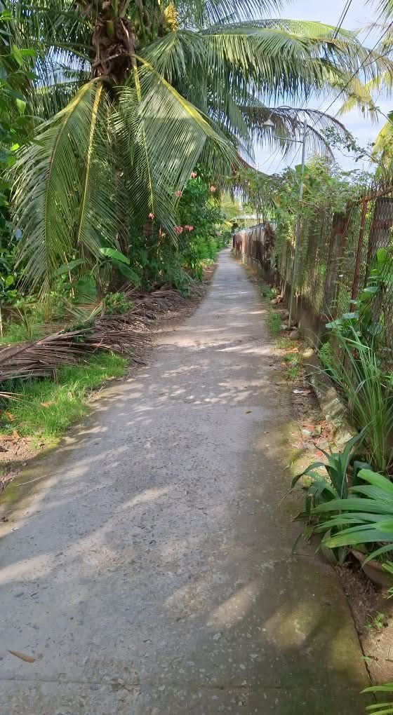 Đất nền Tân Hội, Cai Lậy 80m² giá 250 triệu - Đầu tư sinh lời ngay!