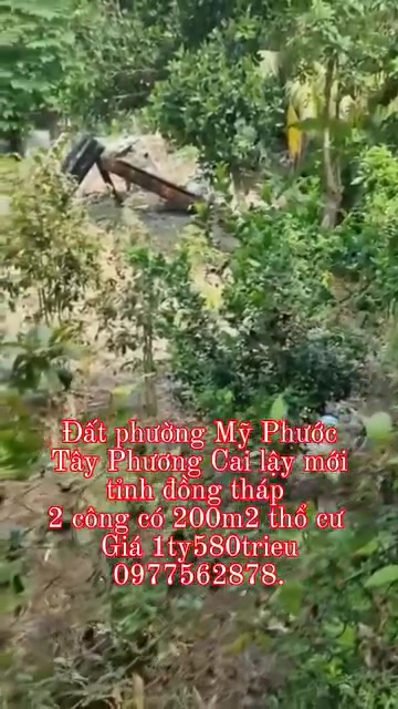 Đất trống Mỹ Hạnh Đông, Cai Lậy 2000m² - Gần chợ, giá thỏa thuận!