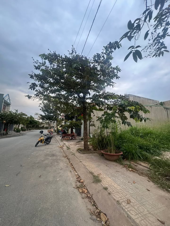 Đất nền An Phú Thuận An 150m² giá 3.9 tỷ - Đường nhựa rộng, xây dựng tự do!