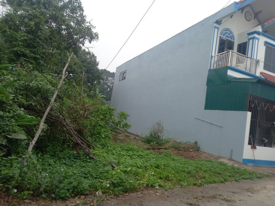 Đất nền tại Ninh Hòa, Hoa Lư, Ninh Bình 230m² giá 5.5 tỷ - Sổ đỏ chính chủ!