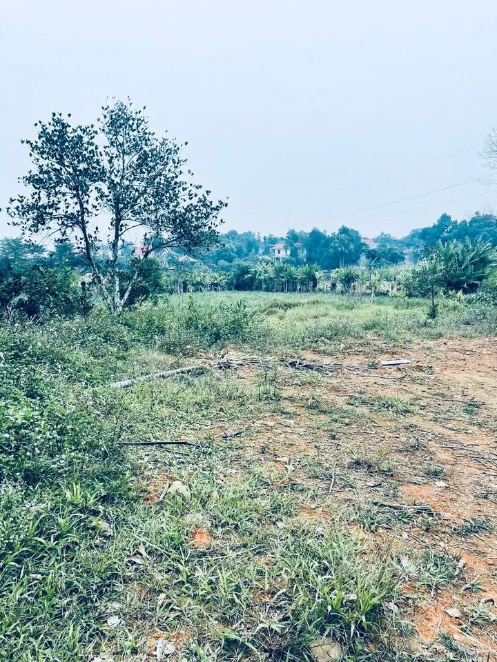 Đất nghỉ dưỡng Yên Bài, Ba Vì 1850m² giá thỏa thuận - Cơ hội đầu tư tuyệt vời!