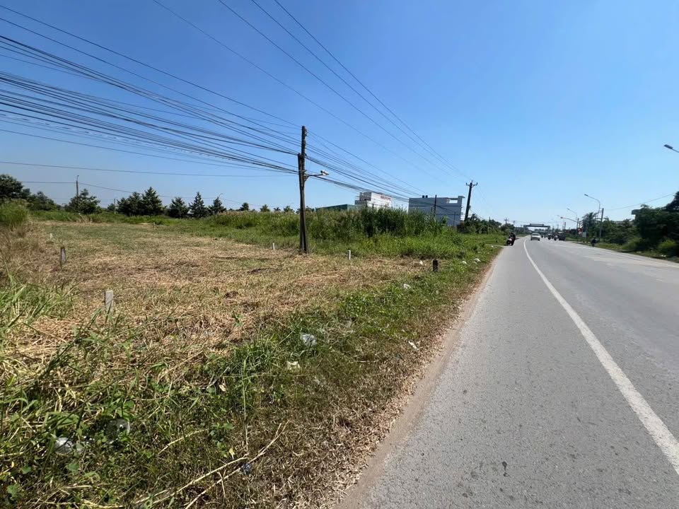 Đất mặt tiền Quốc Lộ 50, Phước Đông, 550m² giá chỉ 4.5 tỷ - Cơ hội đầu tư hiếm có!