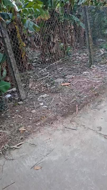 Đất nền An Phú Quảng Ngãi 260m² giá 1 tỷ - Cần bán gấp, đất sạch!