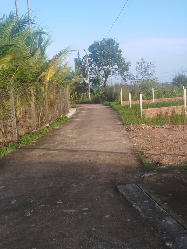 Đất vườn An Phú, Quảng Ngãi 300m² giá 1.3 tỷ - Đường ô tô thông thoáng!